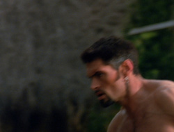 extant_XenaWarriorPrincess_6x10-OldAresHadAFarm_1742