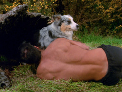 extant_XenaWarriorPrincess_6x10-OldAresHadAFarm_1783