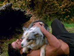 extant_XenaWarriorPrincess_6x10-OldAresHadAFarm_1784