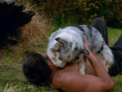 extant_XenaWarriorPrincess_6x10-OldAresHadAFarm_1788
