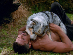 extant_XenaWarriorPrincess_6x10-OldAresHadAFarm_1790