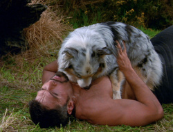 extant_XenaWarriorPrincess_6x10-OldAresHadAFarm_1794
