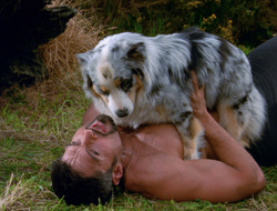 extant_XenaWarriorPrincess_6x10-OldAresHadAFarm_1795