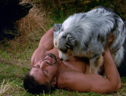 extant_XenaWarriorPrincess_6x10-OldAresHadAFarm_1796