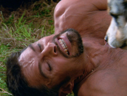 extant_XenaWarriorPrincess_6x10-OldAresHadAFarm_1797