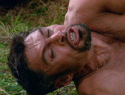 extant_XenaWarriorPrincess_6x10-OldAresHadAFarm_1798