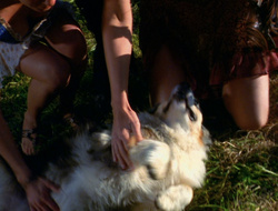 extant_XenaWarriorPrincess_6x10-OldAresHadAFarm_1803
