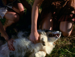 extant_XenaWarriorPrincess_6x10-OldAresHadAFarm_1804