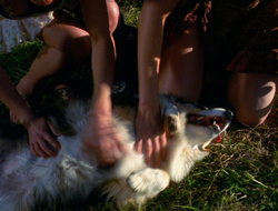extant_XenaWarriorPrincess_6x10-OldAresHadAFarm_1805