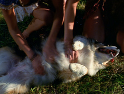 extant_XenaWarriorPrincess_6x10-OldAresHadAFarm_1806