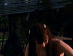 extant_XenaWarriorPrincess_6x10-OldAresHadAFarm_1820