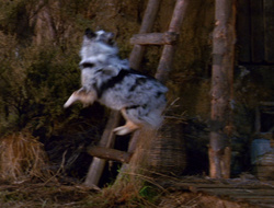 extant_XenaWarriorPrincess_6x10-OldAresHadAFarm_1850