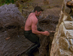extant_XenaWarriorPrincess_6x10-OldAresHadAFarm_1858