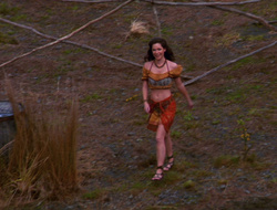 extant_XenaWarriorPrincess_6x10-OldAresHadAFarm_1867