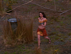 extant_XenaWarriorPrincess_6x10-OldAresHadAFarm_1868