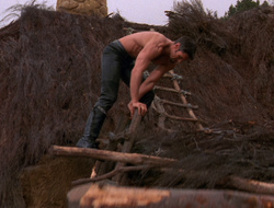 extant_XenaWarriorPrincess_6x10-OldAresHadAFarm_1885