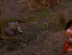 extant_XenaWarriorPrincess_6x10-OldAresHadAFarm_1887