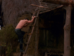 extant_XenaWarriorPrincess_6x10-OldAresHadAFarm_1889