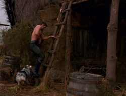 extant_XenaWarriorPrincess_6x10-OldAresHadAFarm_1891