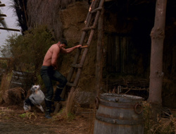 extant_XenaWarriorPrincess_6x10-OldAresHadAFarm_1892