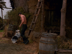 extant_XenaWarriorPrincess_6x10-OldAresHadAFarm_1894