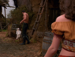extant_XenaWarriorPrincess_6x10-OldAresHadAFarm_1895