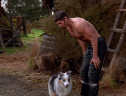 extant_XenaWarriorPrincess_6x10-OldAresHadAFarm_1907