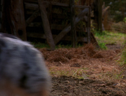 extant_XenaWarriorPrincess_6x10-OldAresHadAFarm_1974
