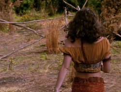 extant_XenaWarriorPrincess_6x10-OldAresHadAFarm_2056