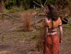 extant_XenaWarriorPrincess_6x10-OldAresHadAFarm_2060