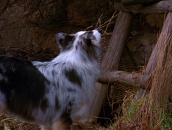 extant_XenaWarriorPrincess_6x10-OldAresHadAFarm_2068