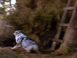 extant_XenaWarriorPrincess_6x10-OldAresHadAFarm_2075
