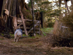 extant_XenaWarriorPrincess_6x10-OldAresHadAFarm_2077