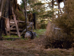 extant_XenaWarriorPrincess_6x10-OldAresHadAFarm_2078