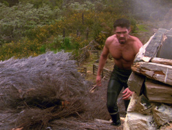 extant_XenaWarriorPrincess_6x10-OldAresHadAFarm_2080