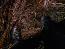 extant_XenaWarriorPrincess_6x10-OldAresHadAFarm_2089