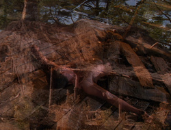 extant_XenaWarriorPrincess_6x10-OldAresHadAFarm_2102