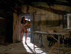 extant_XenaWarriorPrincess_6x10-OldAresHadAFarm_2111