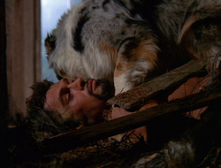 extant_XenaWarriorPrincess_6x10-OldAresHadAFarm_2125