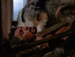 extant_XenaWarriorPrincess_6x10-OldAresHadAFarm_2126