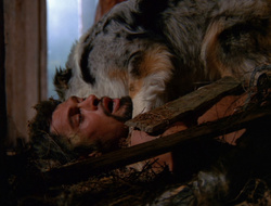 extant_XenaWarriorPrincess_6x10-OldAresHadAFarm_2127
