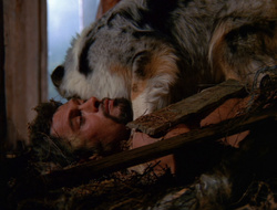 extant_XenaWarriorPrincess_6x10-OldAresHadAFarm_2128
