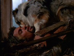 extant_XenaWarriorPrincess_6x10-OldAresHadAFarm_2129