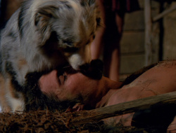 extant_XenaWarriorPrincess_6x10-OldAresHadAFarm_2139