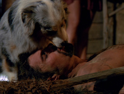 extant_XenaWarriorPrincess_6x10-OldAresHadAFarm_2140