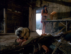 extant_XenaWarriorPrincess_6x10-OldAresHadAFarm_2141