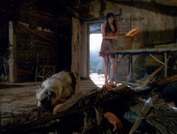 extant_XenaWarriorPrincess_6x10-OldAresHadAFarm_2142