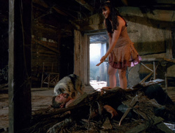 extant_XenaWarriorPrincess_6x10-OldAresHadAFarm_2149