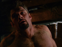 extant_XenaWarriorPrincess_6x10-OldAresHadAFarm_2177