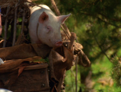 extant_XenaWarriorPrincess_6x10-OldAresHadAFarm_2196